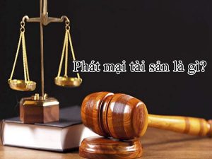 phát mãi tài sản là gì