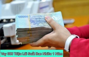 vay 300 triệu trong 10 năm